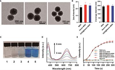 Synergistic Radiosensitization Mediated by Chemodynamic Therapy via a Novel Biodegradable Peroxidases Mimicking Nanohybrid